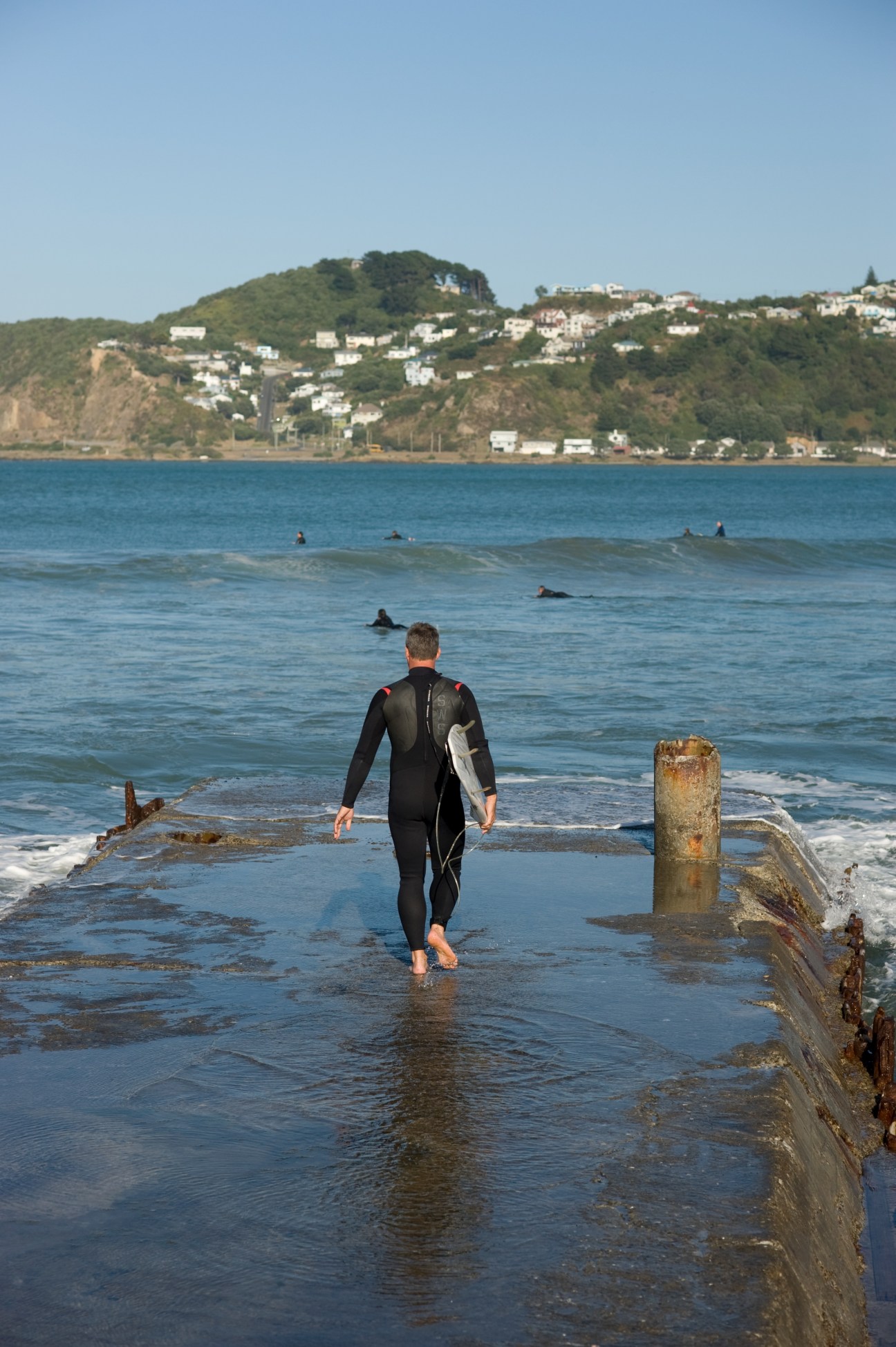 A surfer in wetsuit walks into the ocean at Lyall Bay with residential hills visible across the water.