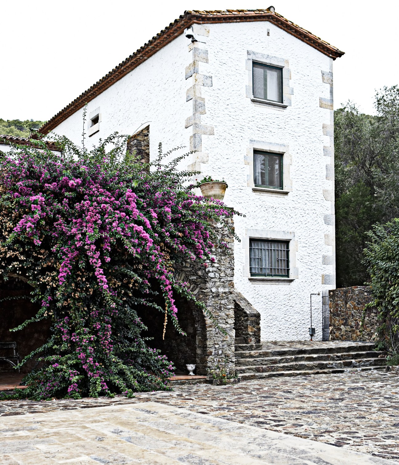 White-walled converted bodega with terracotta roof tiles and purple bougainvillea flowers climbing the stone wall.