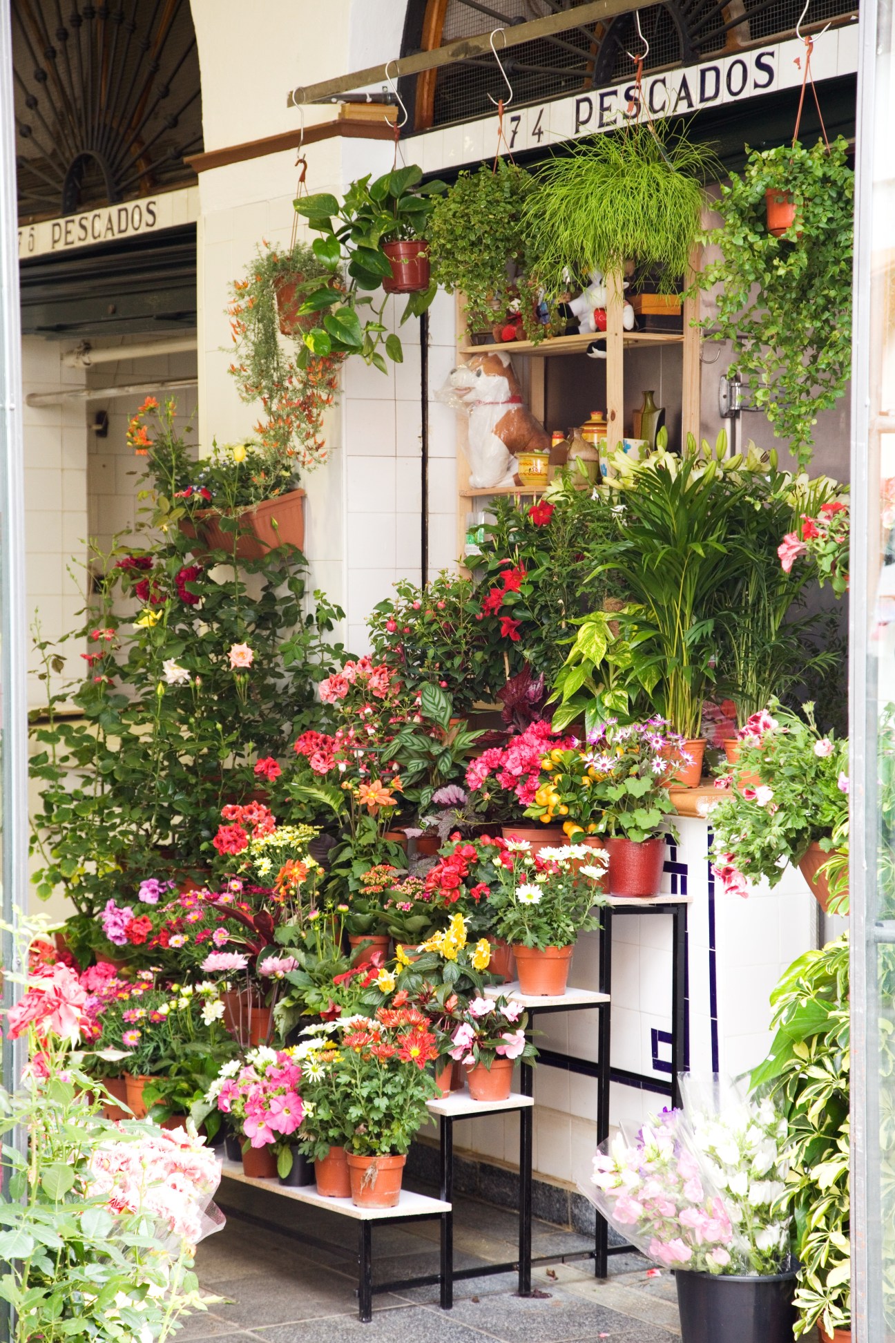 Flower shop storefront in Mercado Feria with colorful potted plants and flowers displayed outside.