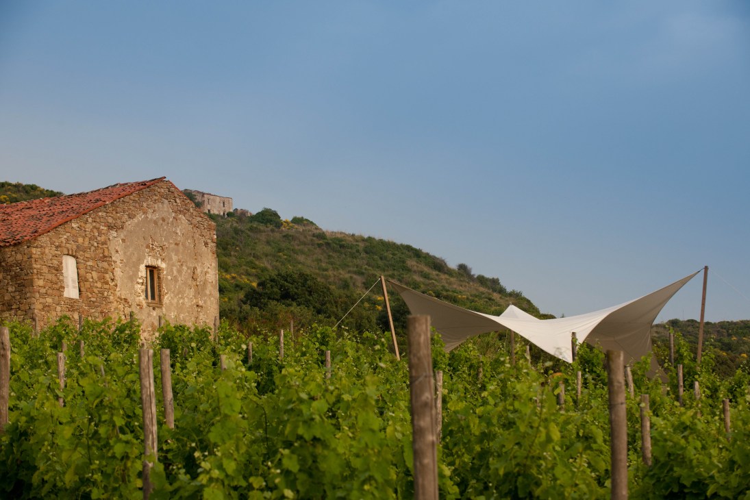 Vineyard with historic stone cottage and fabric canopy shelter in Italian countryside.