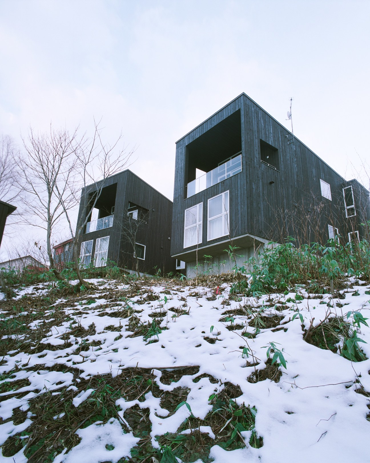 Modern dark wooden residential buildings with large windows on snowy ground with bare trees.