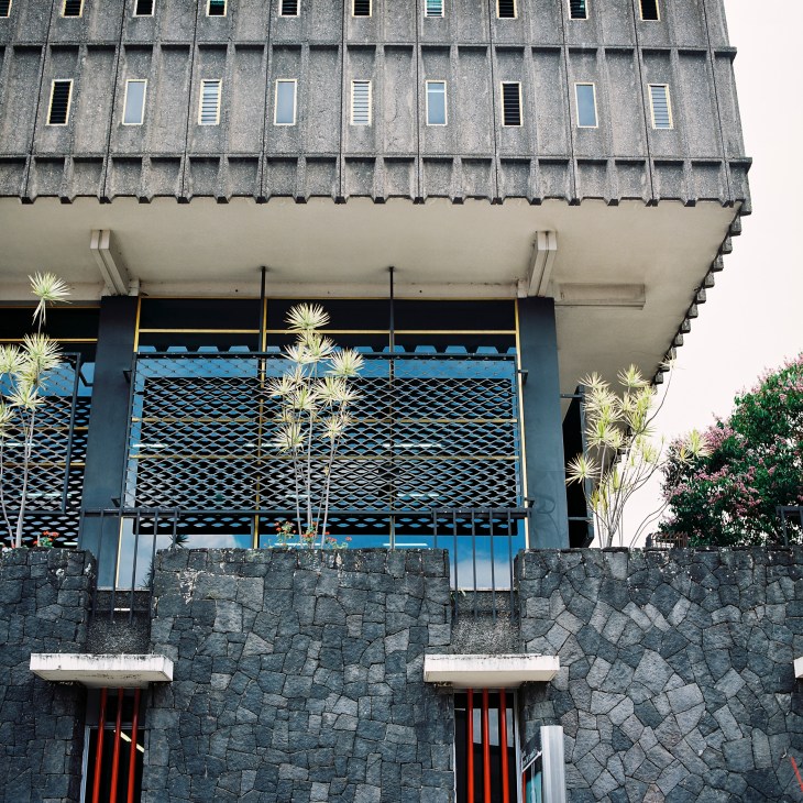 Modern concrete and blue-windowed building facade with stone base and tropical plants in downtown San José.