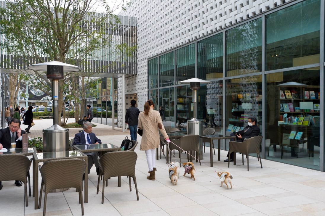 Woman walking three small dogs through an outdoor plaza with modern buildings and café seating.