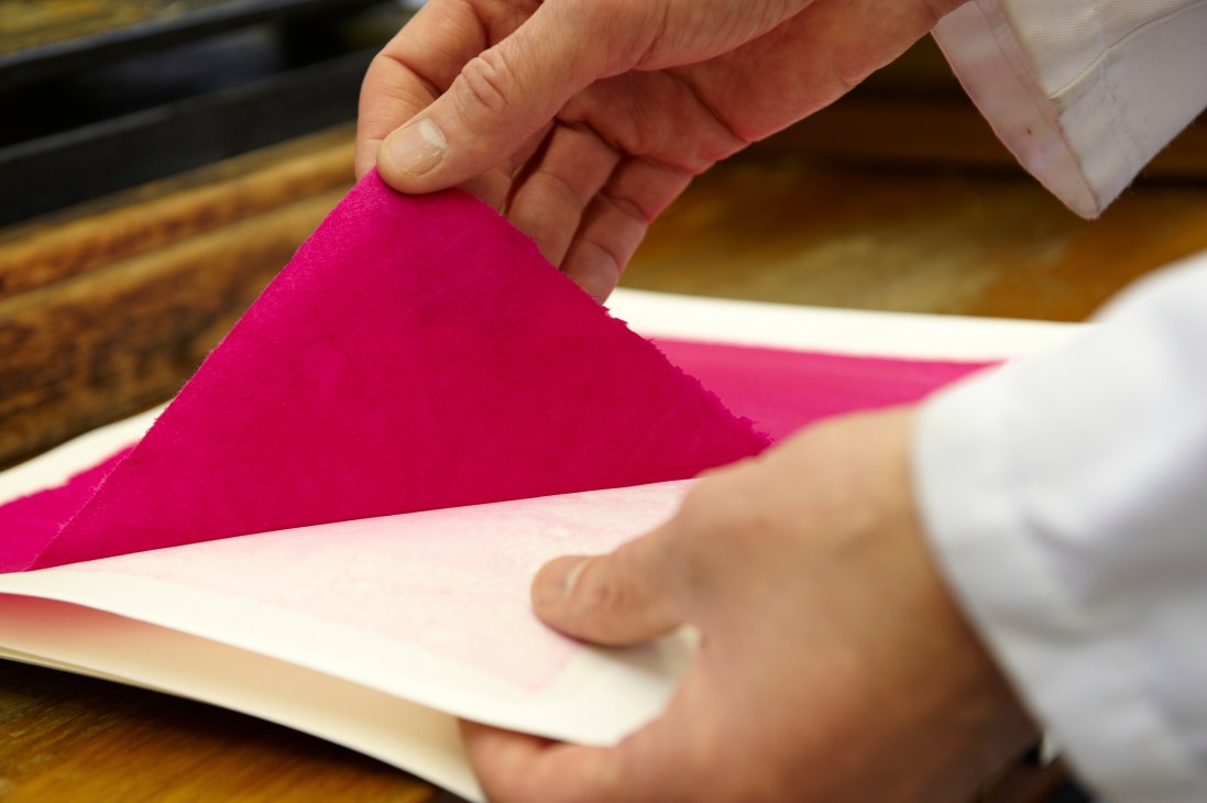Hand holding a bright pink paper sheet showing texture and color quality during paper production.