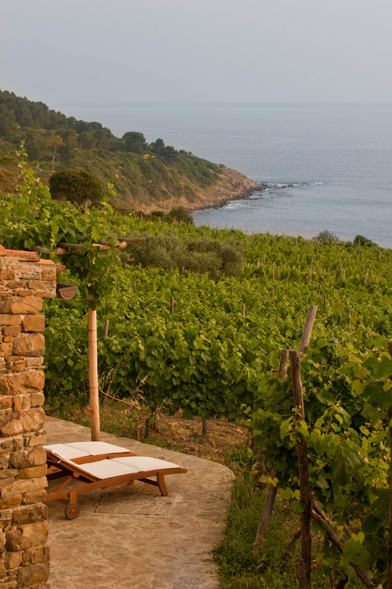 Vineyard terrace overlooking coastal cliffs and sea at Punta Tresino holiday cottage in Italy.