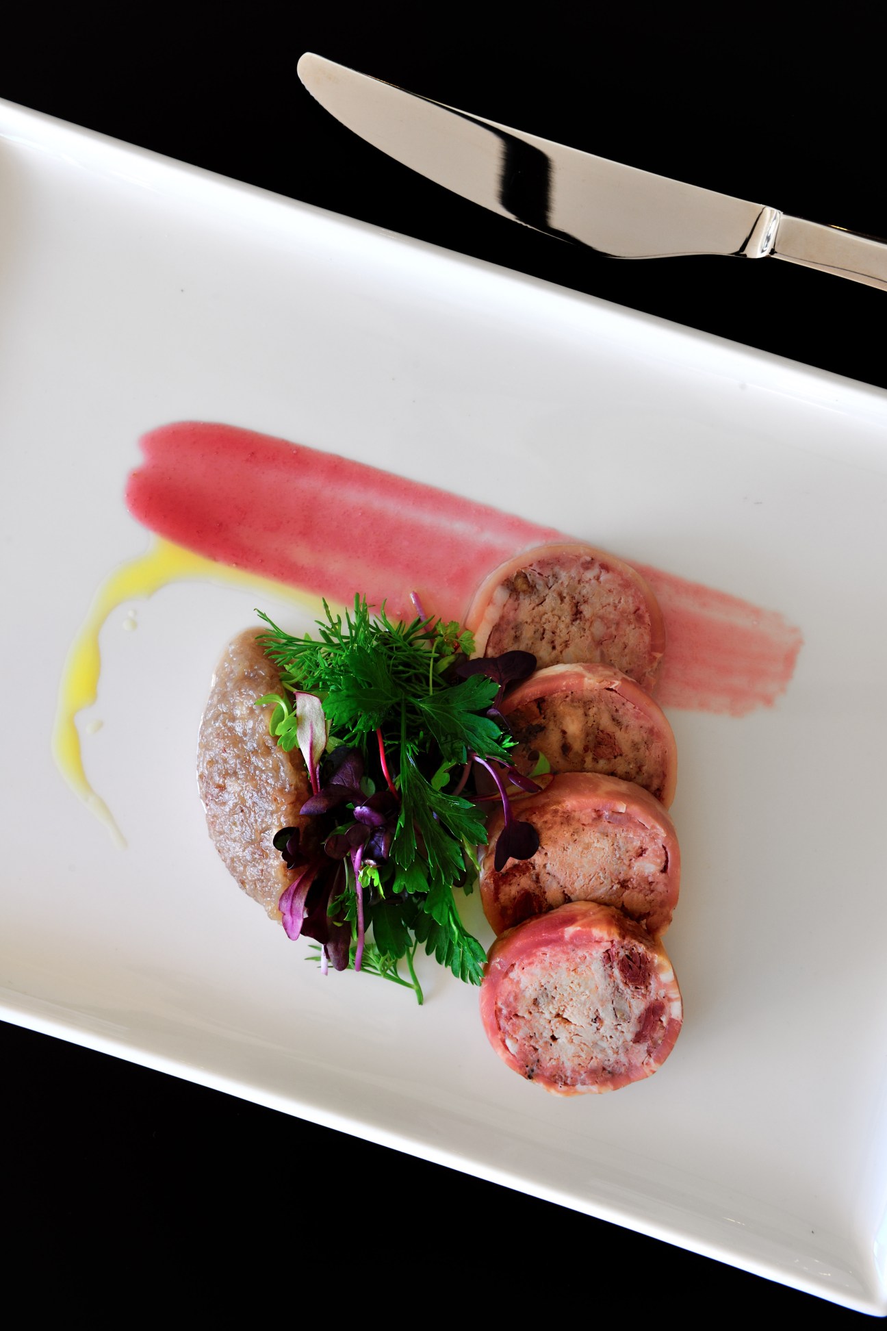 Plated pâté with fresh herbs and sauce on white dish with silver knife