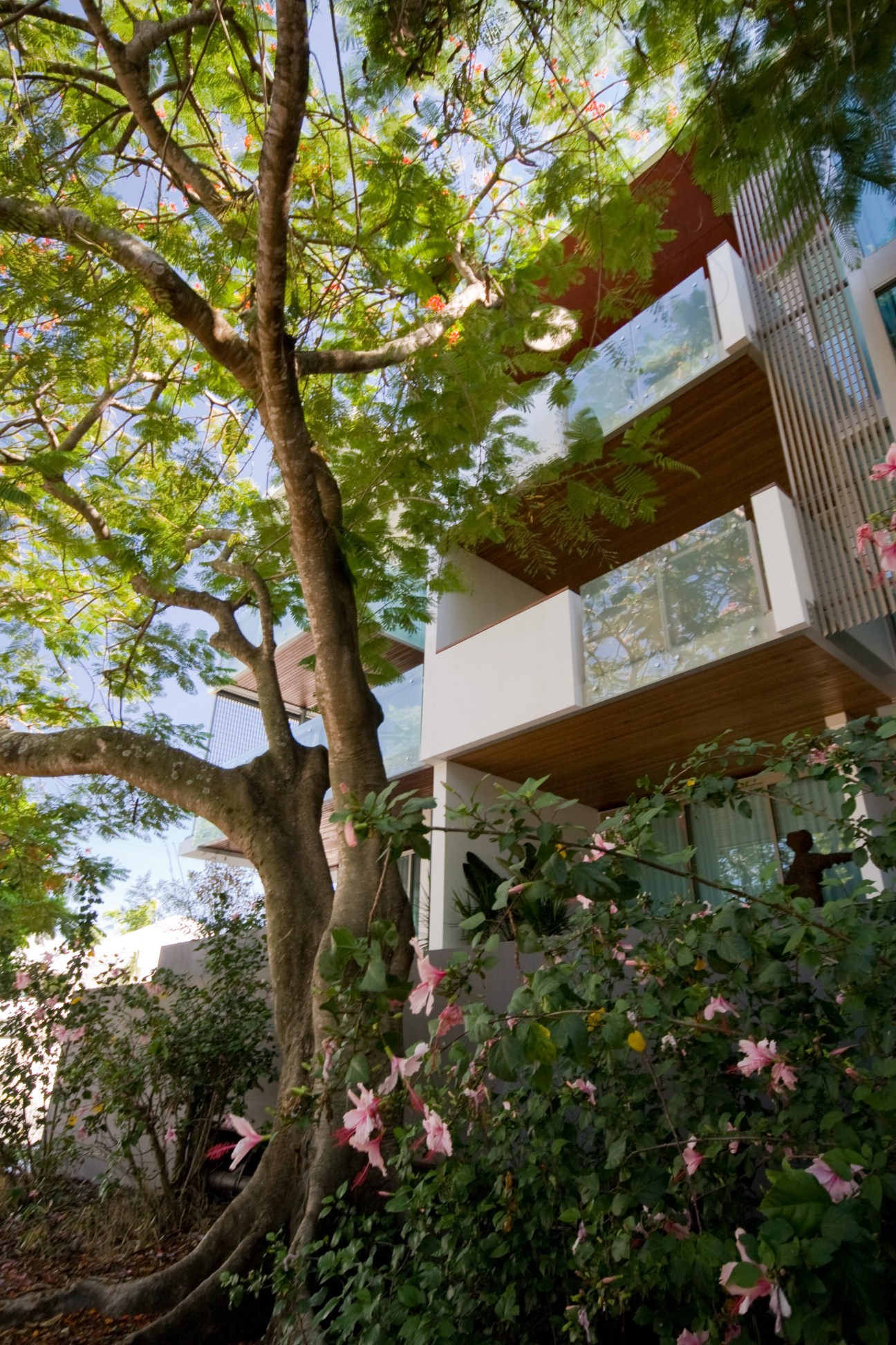 Modern residential building with white and wood facades nestled among lush green trees and pink flowering plants.