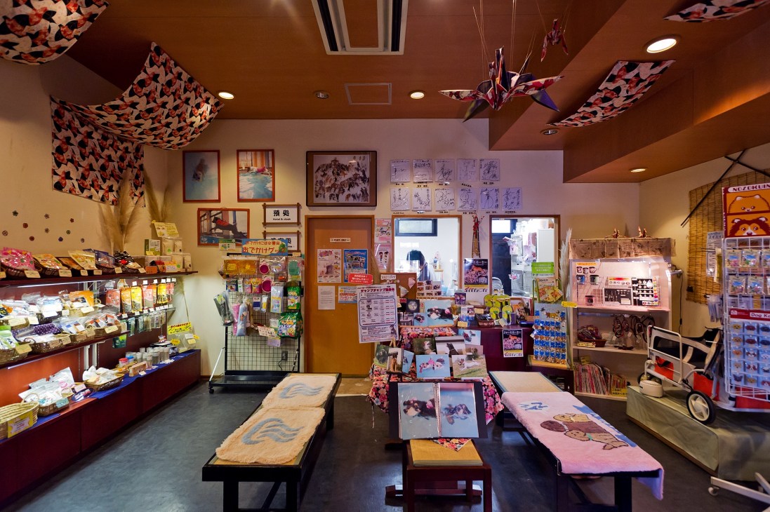 Interior of Hannari pet shop displaying dog collars, beds, and accessories on display tables.
