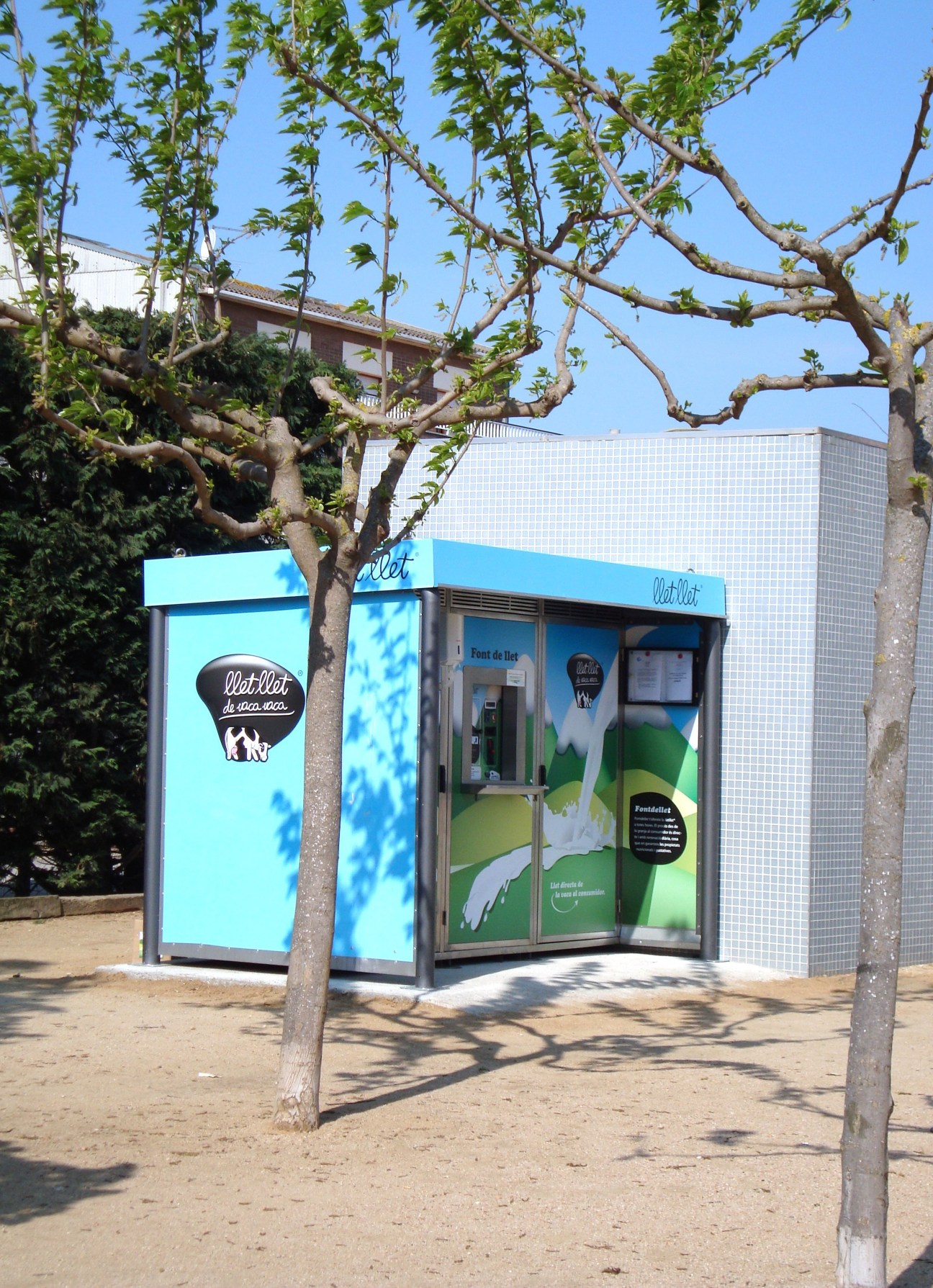 Llet Llet milk vending machine with bright blue exterior in Catalonia, Spain, framed by gnarled tree branches.