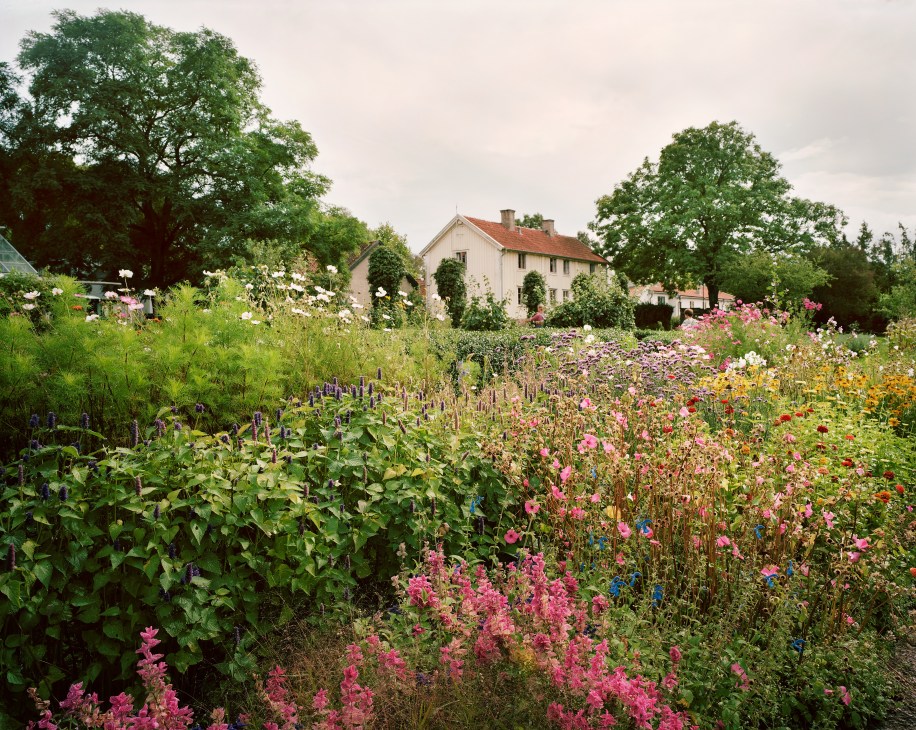 Colorful flower and vegetable garden with blooming pink flowers in foreground and white farmhouse with red roof among trees in background.