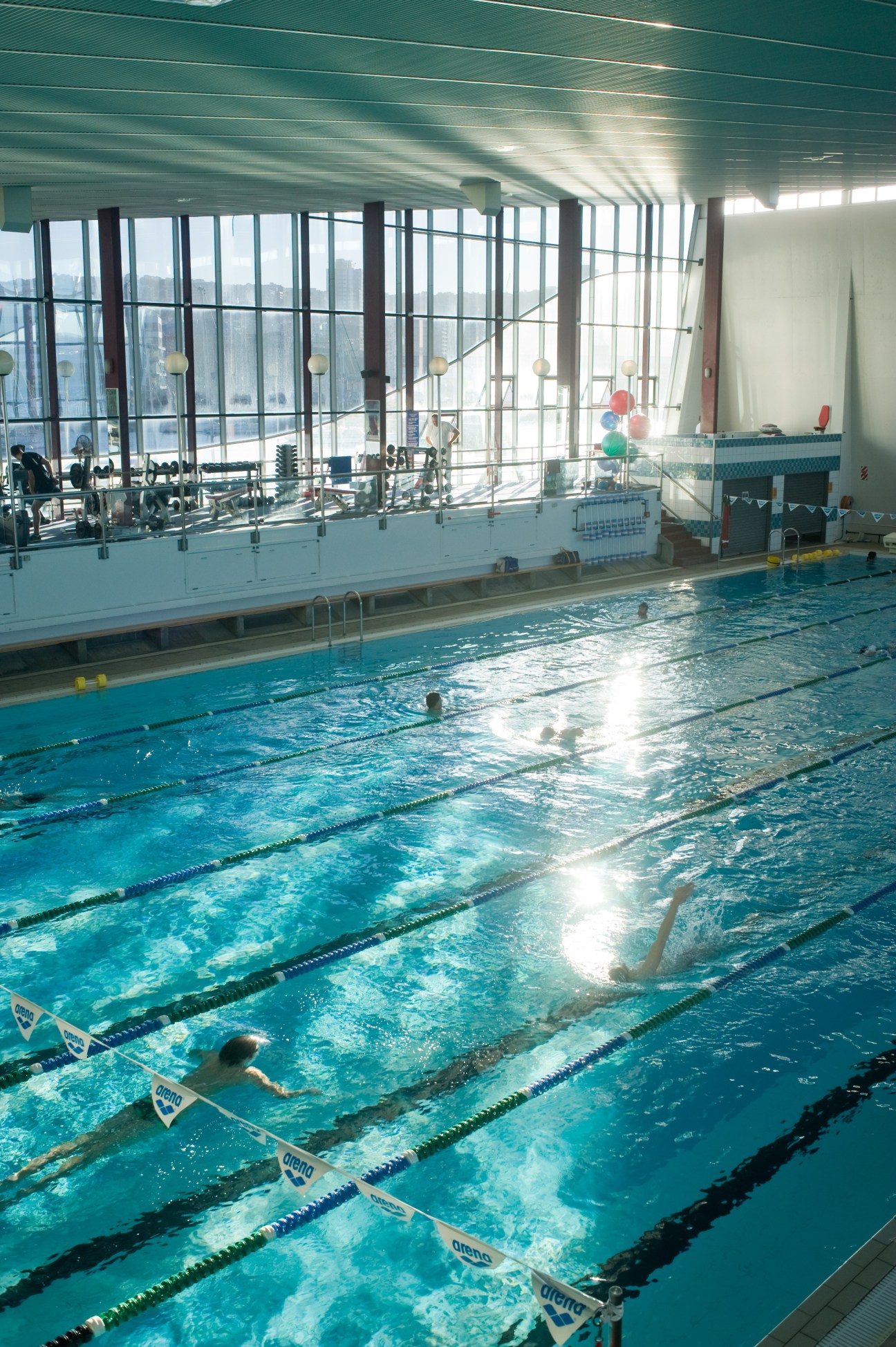Swimmers training in an indoor lap pool with floor-to-ceiling windows overlooking Wellington's cityscape.