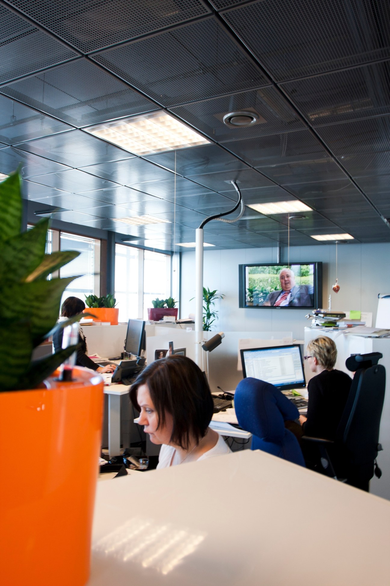 Modern office workspace at Sitra in Helsinki with employees at desks, plants, and natural lighting.