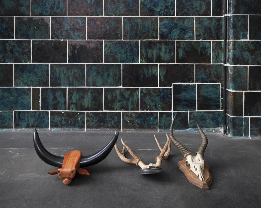 Three decorative animal skulls and horns displayed on concrete against a weathered turquoise tiled wall.