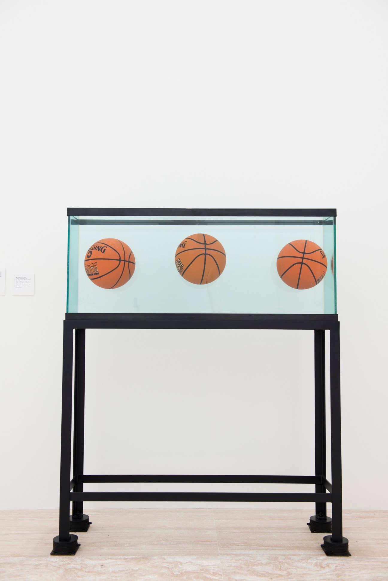Jeff Koons' 'Three Ball Total Equilibrium Tank' displaying three basketballs suspended in a glass tank on a black metal stand.