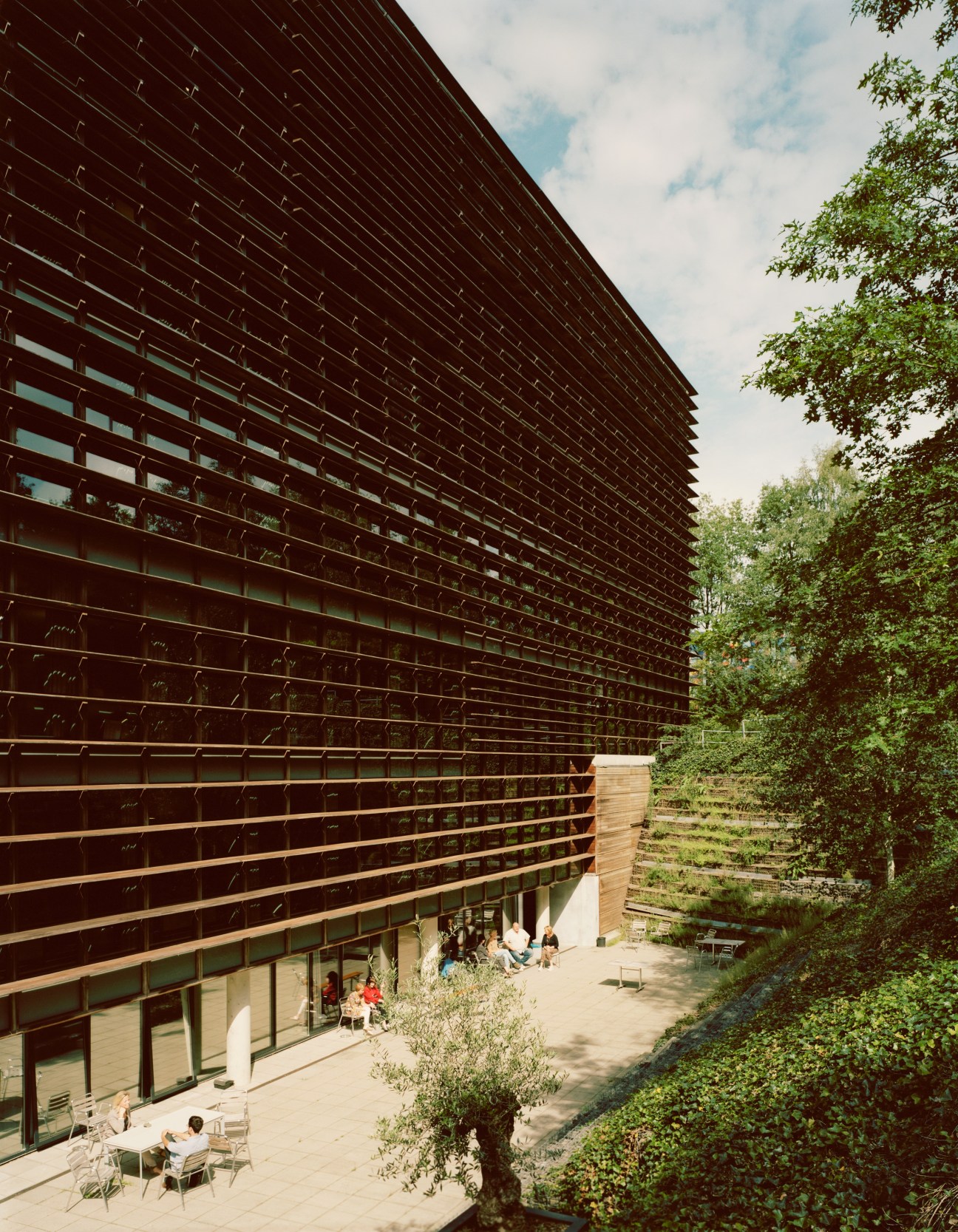 Modern building with dark wooden slat facade overlooking a sunlit courtyard with seating and vegetation.