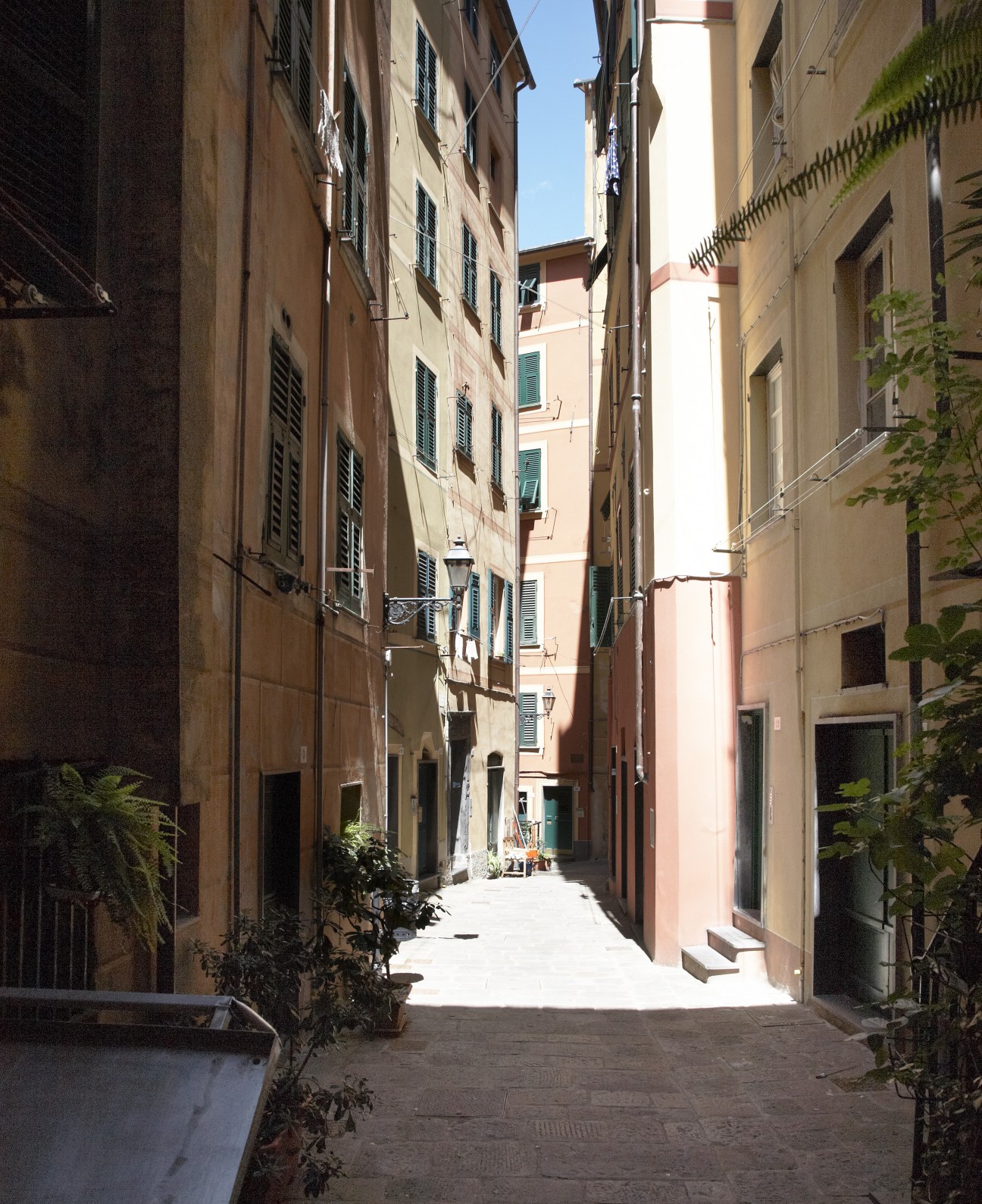 Narrow alleyway in Camogli with tall pastel-colored buildings and ivy climbing the walls.