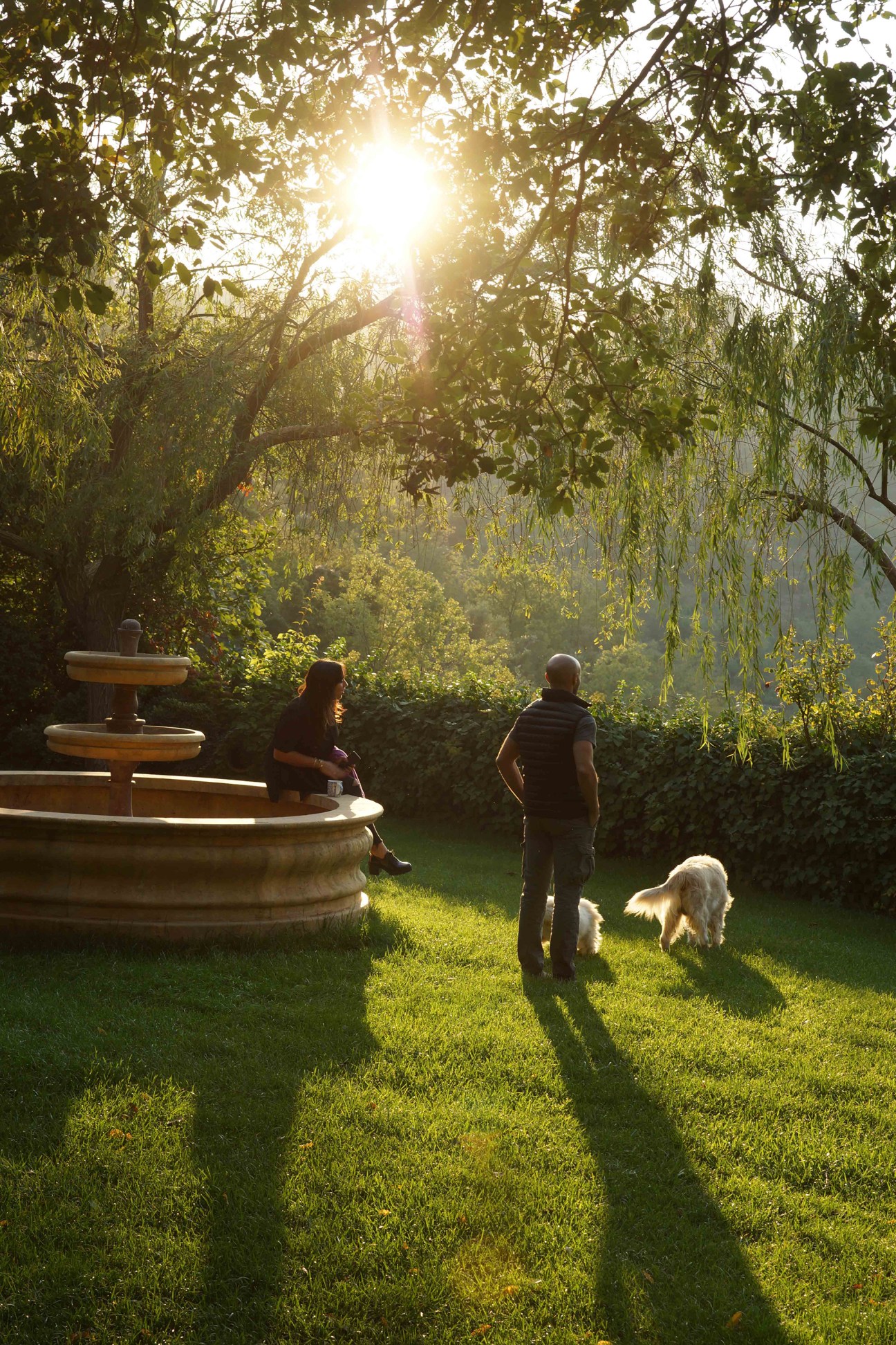 Two people and a white dog in a sunlit garden with stone fountains and weeping willow trees.