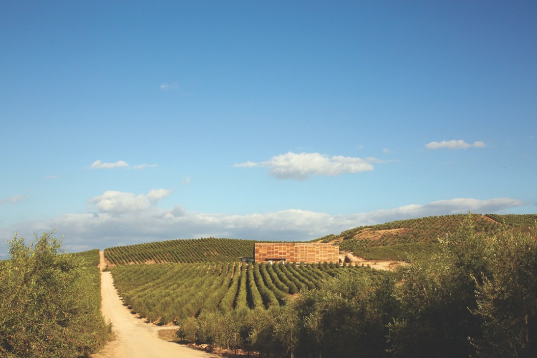 Olisur olive oil factory with red-brick building surrounded by extensive olive tree plantations in Chilean landscape.