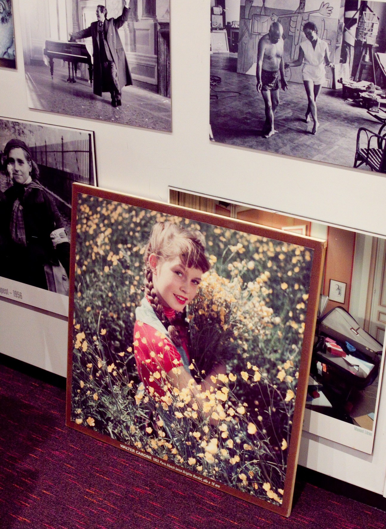 Framed portrait of young Brigitte Bardot in a flower field, displayed in an office with vintage photographs on walls.