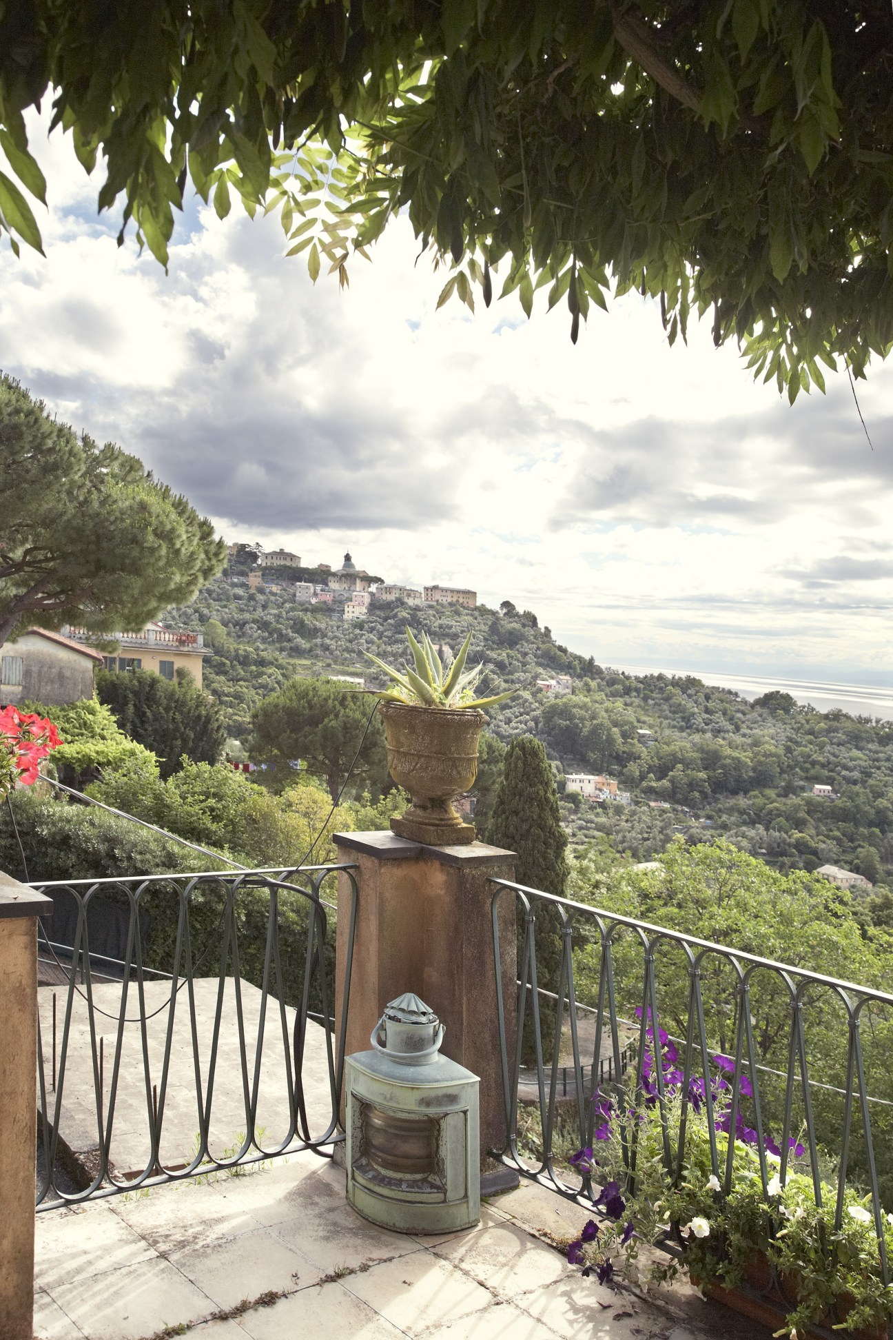 Terrace overlooking Camogli with potted plants and sea views across Mount Portofino.