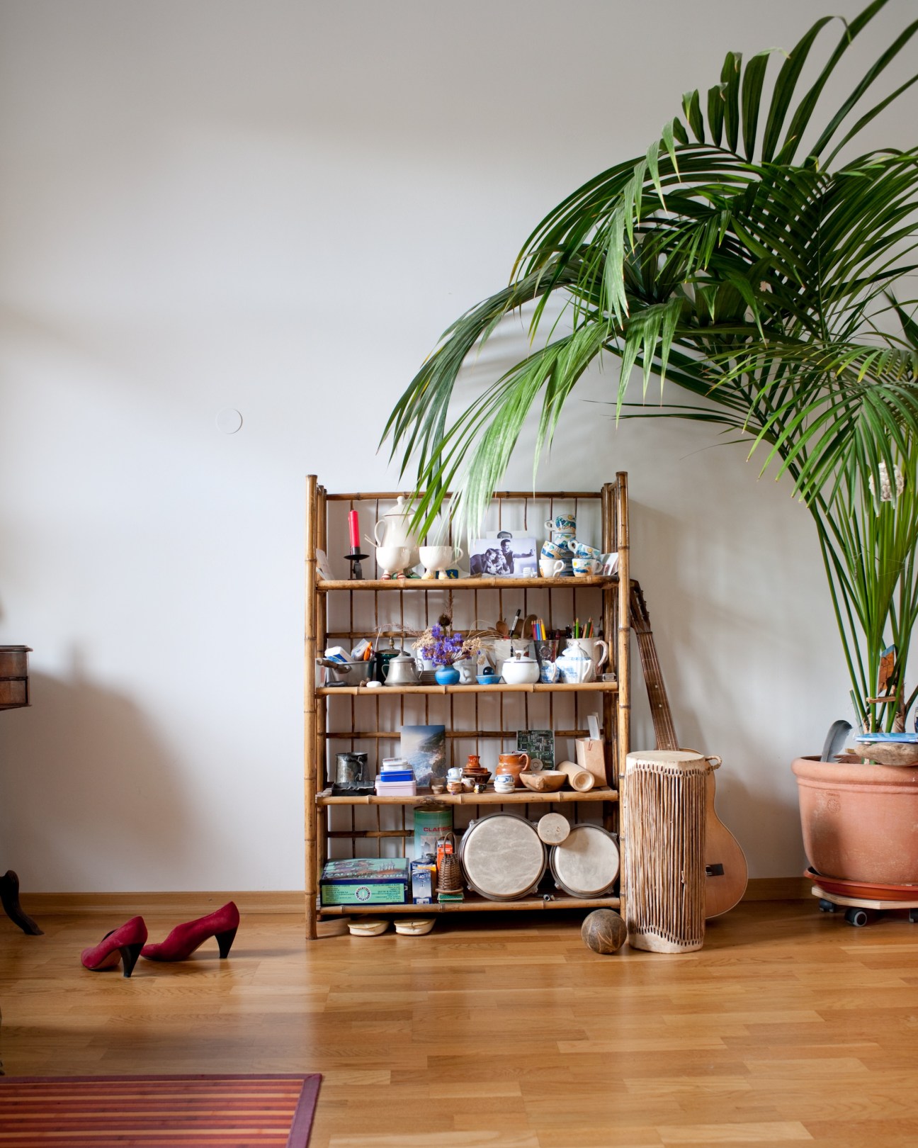 Interior of Waki Meier's apartment showing wooden shelving unit with decorative items, potted plant, and red heels on wooden floor.