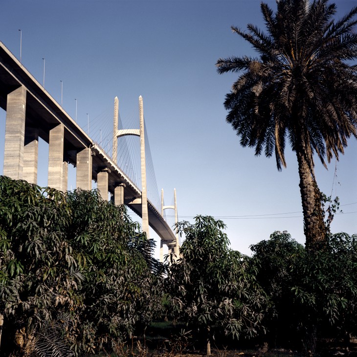 Modern bridge with two tall white towers spanning the Suez Canal, with palm tree in foreground.