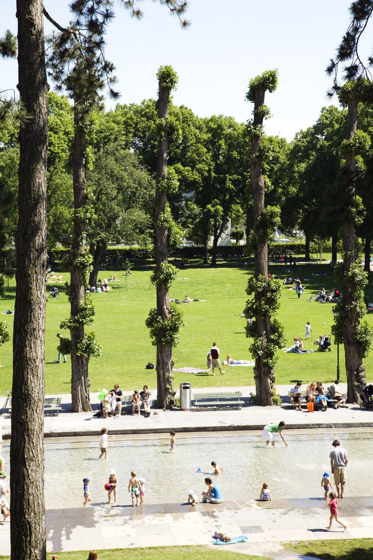 Tall trees frame a public pool and green lawn where people relax and swim in Zurich.
