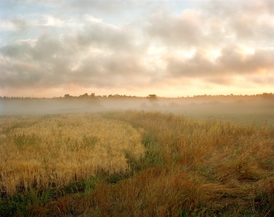 Misty fields at sunrise with trees along the horizon under a cloudy sky.