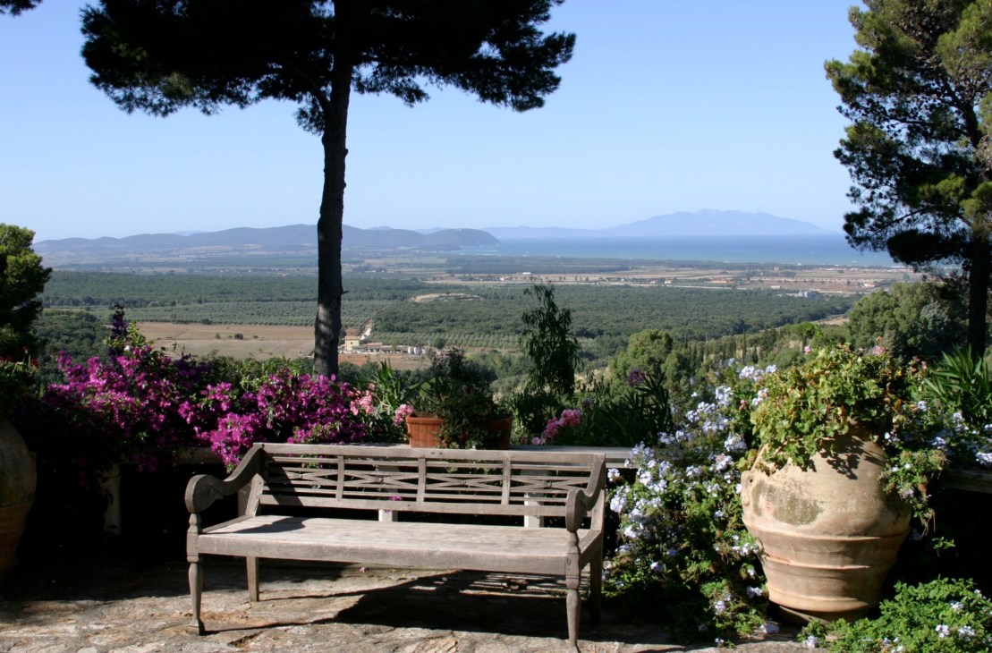 Wooden bench overlooking Tuscan countryside with flowering plants and pine trees.