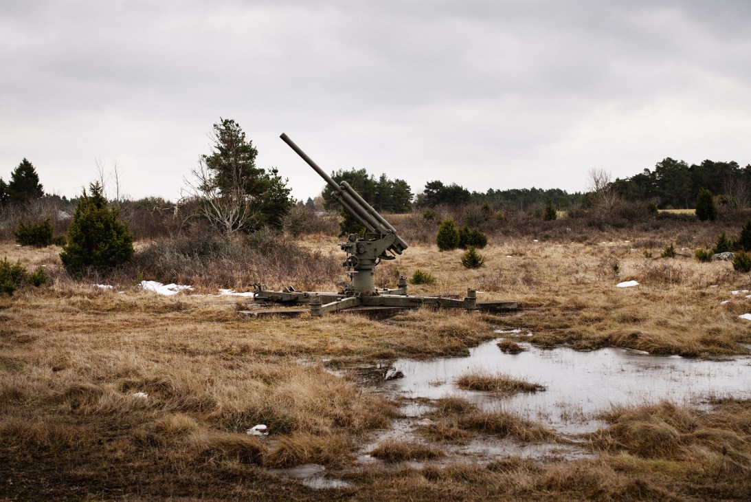 Anti-aircraft gun mounted on a platform in a sparse, marshy landscape dotted with evergreen trees.
