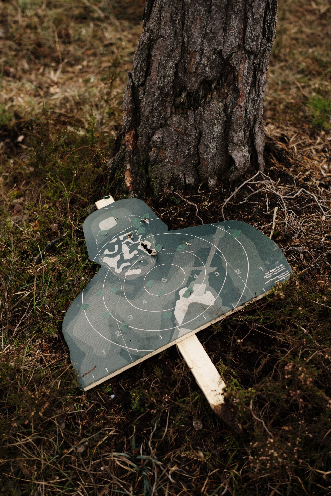 Bullet-riddled target practice sheet with concentric circles mounted on a wooden stake in a forest.