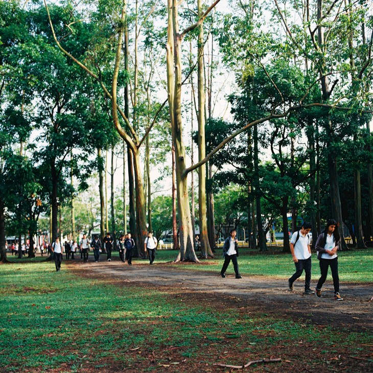 Students in school uniforms walking through a park with tall trees in San José.