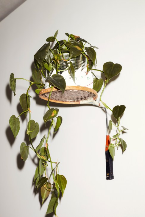 Potted climbing plant with heart-shaped leaves in a white pot on a wooden plant stand with red-handled tool.