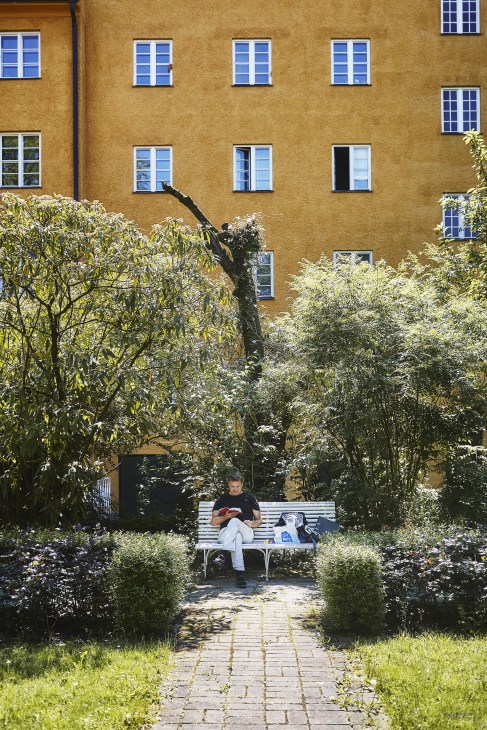 Person reading on a bench in a sunlit courtyard surrounded by green vegetation and yellow building.