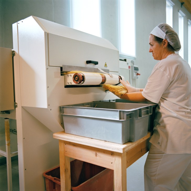 Worker in white headscarf and gloves collects freshly made spaghetti from a pasta drying machine.