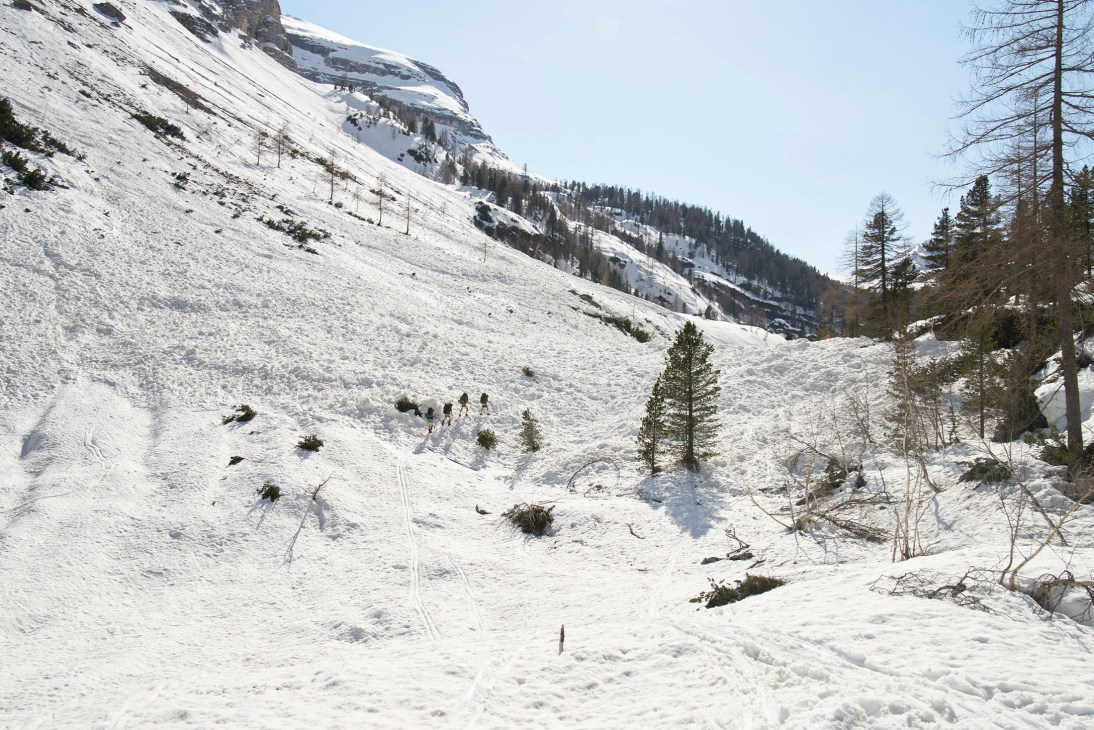 Hikers trekking across snow-covered alpine slopes with evergreen trees and snow-capped mountains in the background.