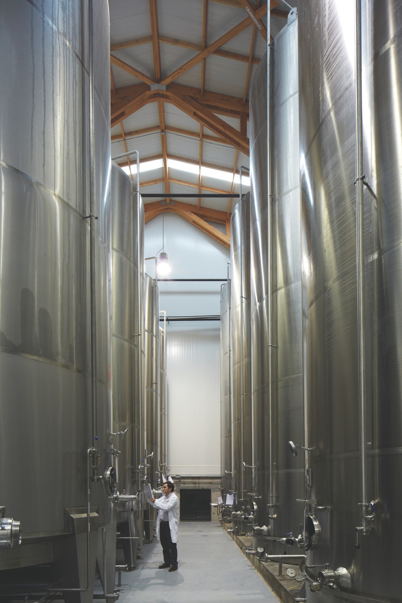 Interior of Olisur olive oil factory in Chile showing large stainless steel storage tanks with wooden beam ceiling and skylights.