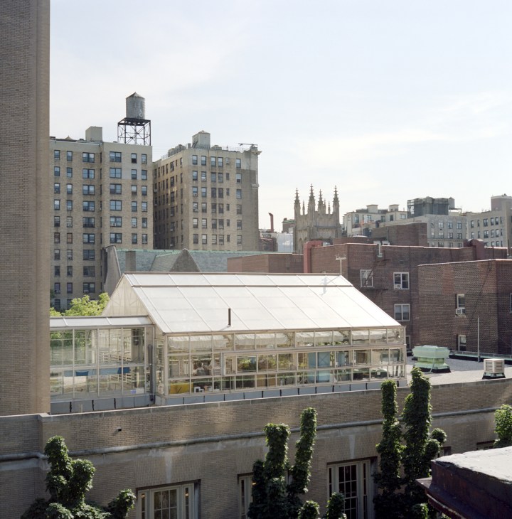 A glass rooftop greenhouse structure on a Manhattan school building with city skyline in background.