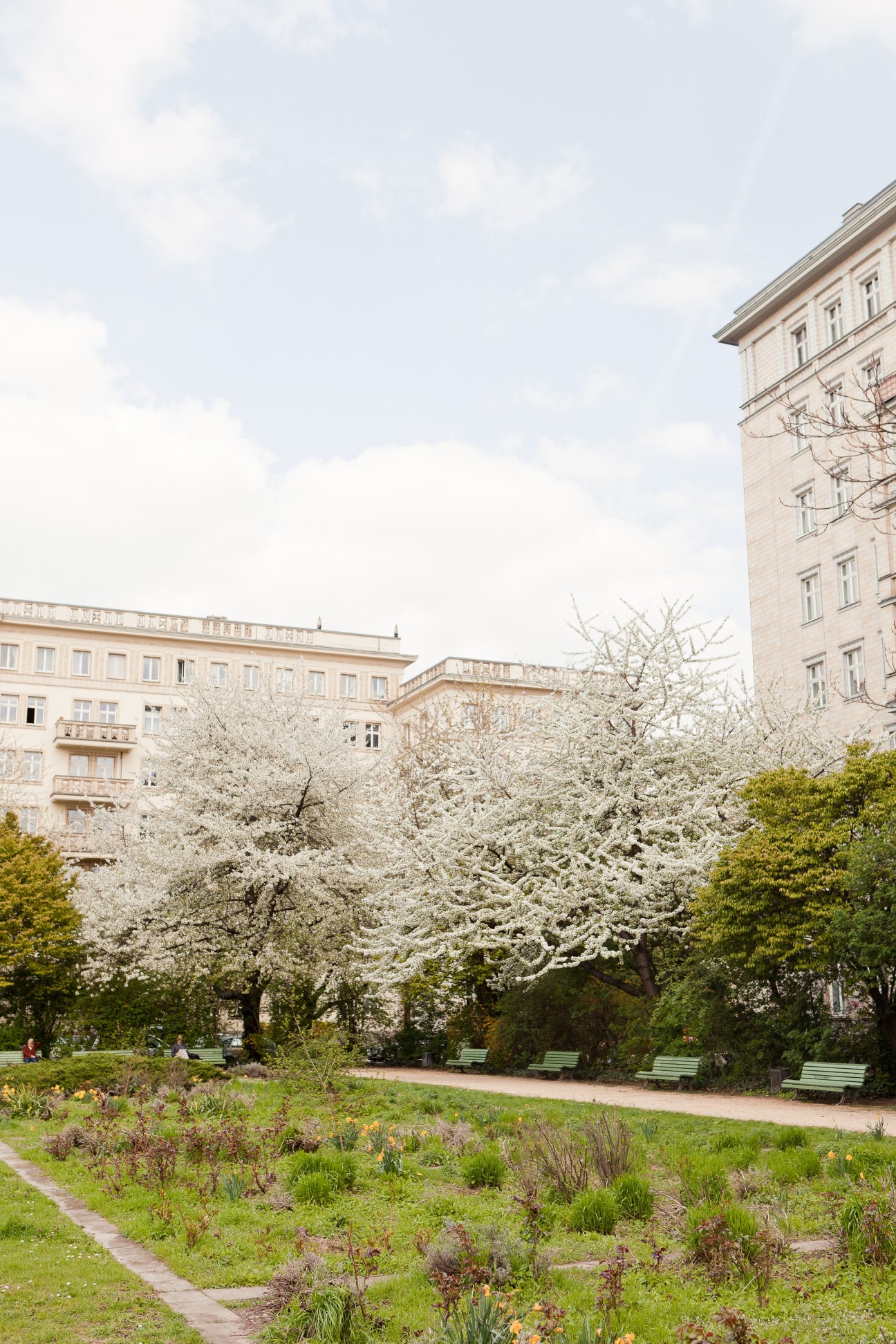 Spring blossoms frame GDR-era residential buildings in Berlin's Friedrichshain district.
