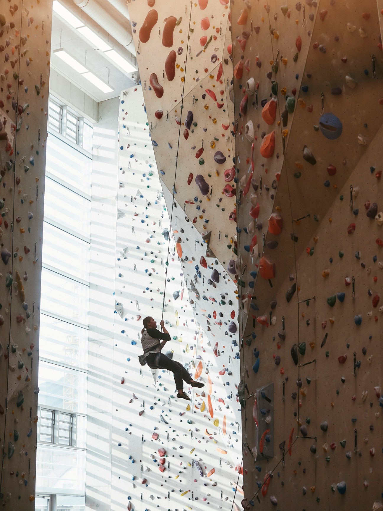 Climber rappelling down colorful indoor climbing wall with safety harness and rope