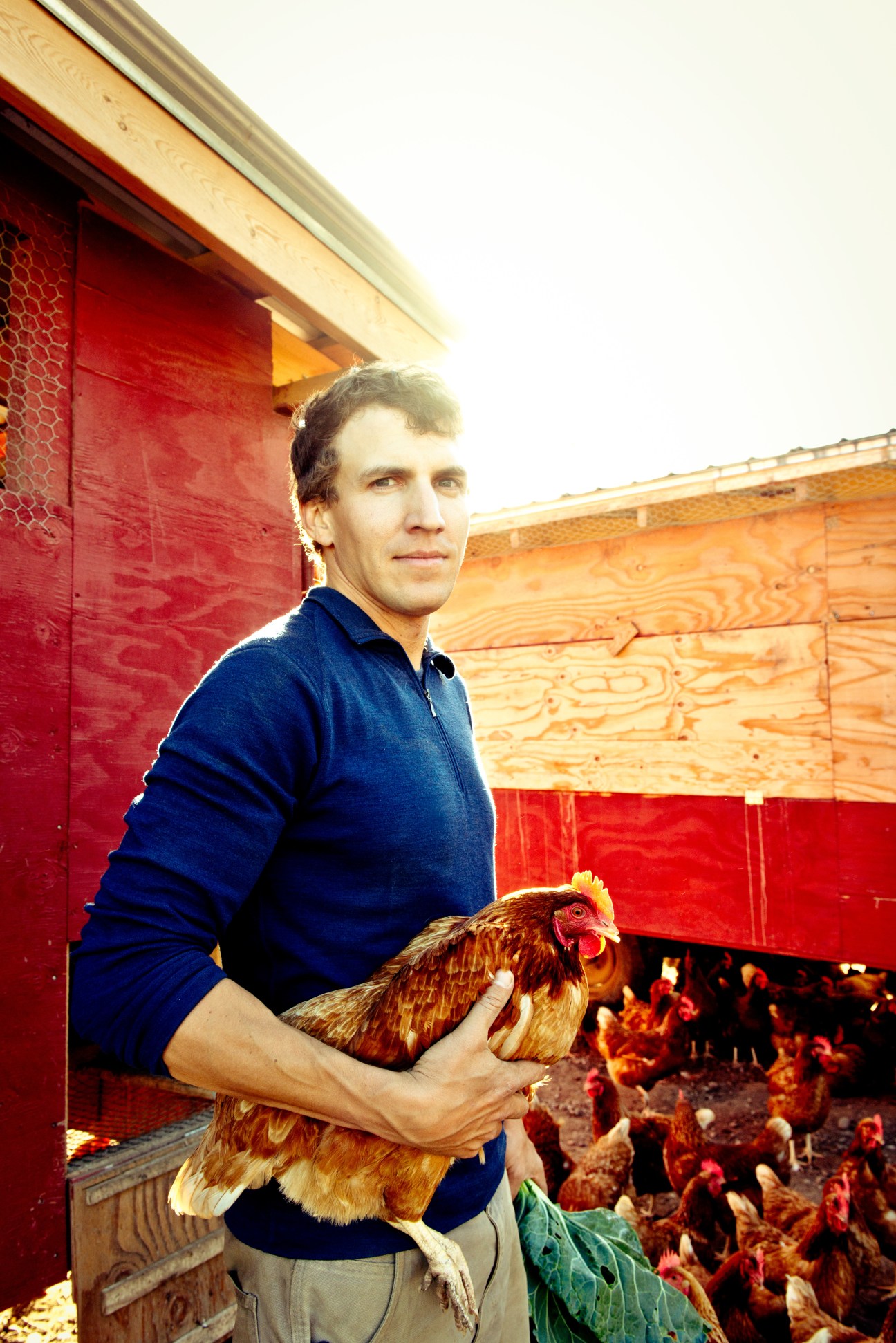 Ben Shute holds a brown chicken outside a red barn structure with wooden panels.