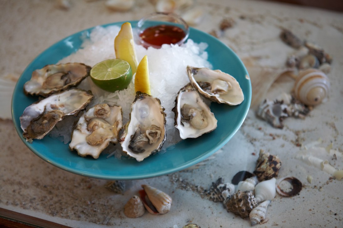 Fresh oysters on crushed ice with lemon wedges and sauce on a turquoise plate.