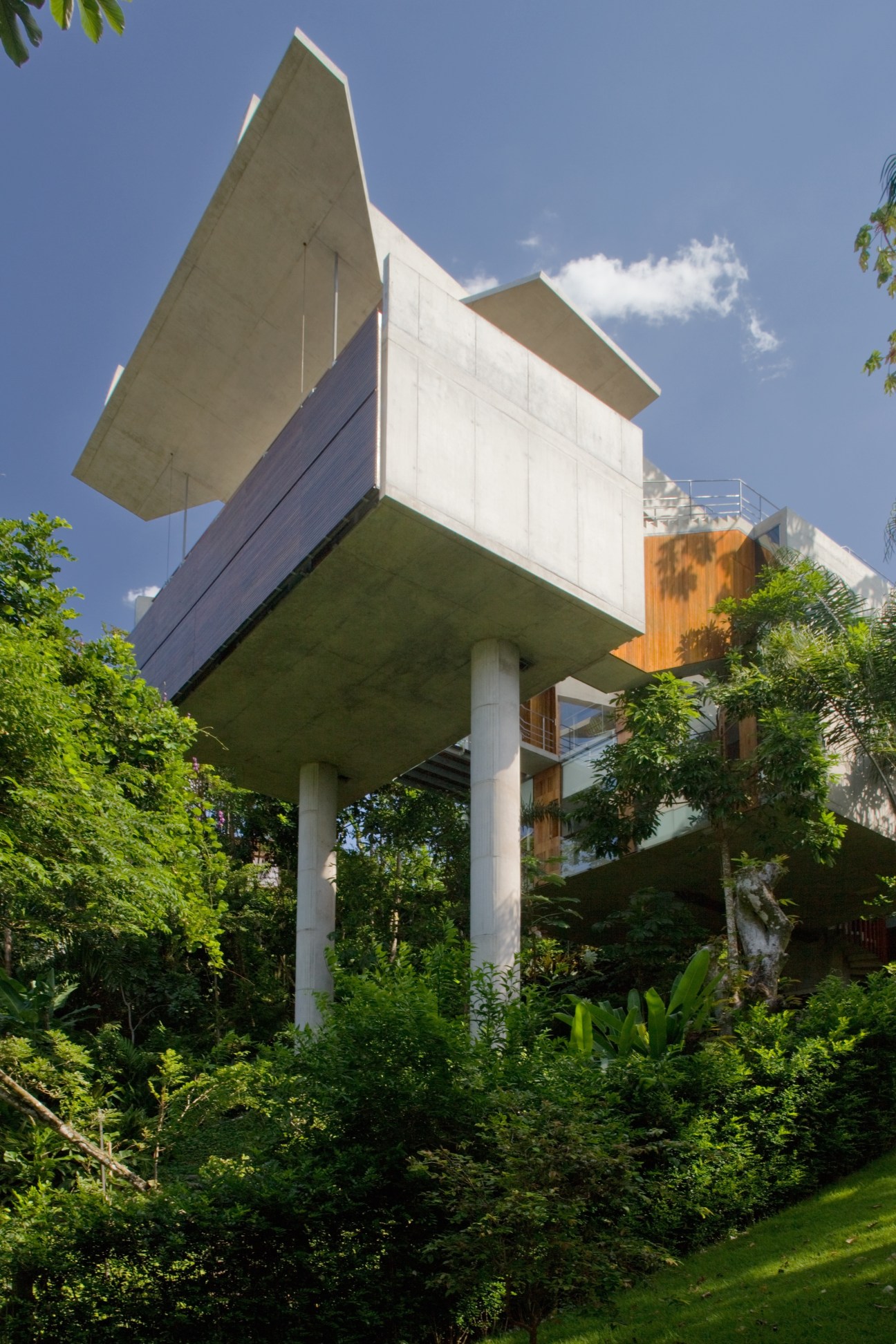 Modern concrete house elevated on pillars above forest, rooftop pool visible at top