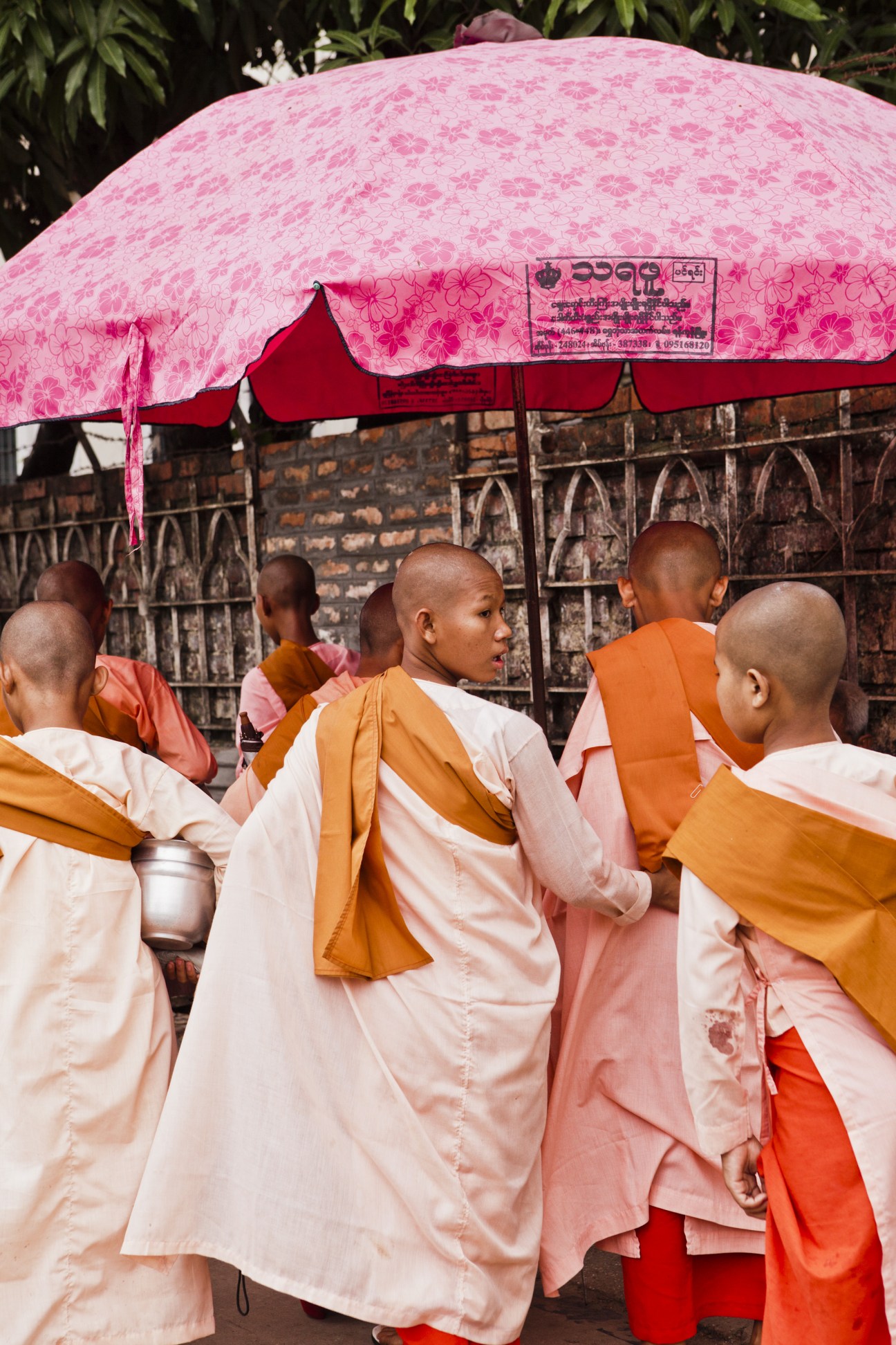 Buddhist nuns in saffron and pink robes stand together under a pink floral umbrella near a weathered brick wall in Rangoon.