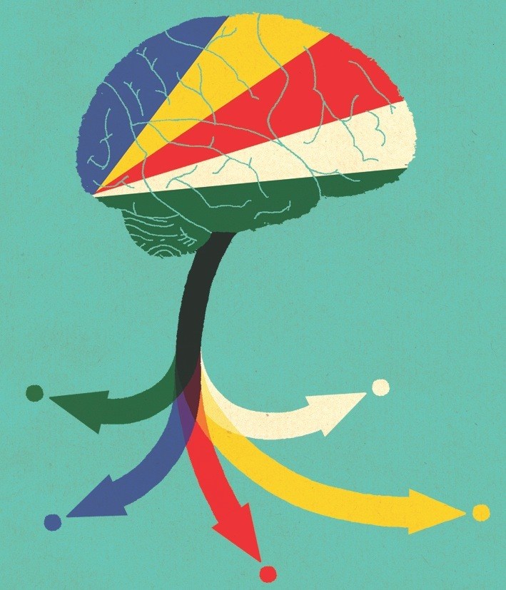 Illustration of a brain filled with the Seychelles flag colors, with colored arrows flowing downward representing brain drain.