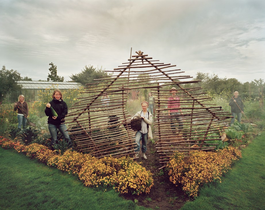 Students at Capellagården standing in and around a wooden structure in an allotment garden with yellow flowers.