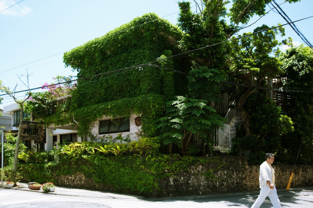 Ivy-covered brewery building in Naha with a man in white walking past on a sunny street.