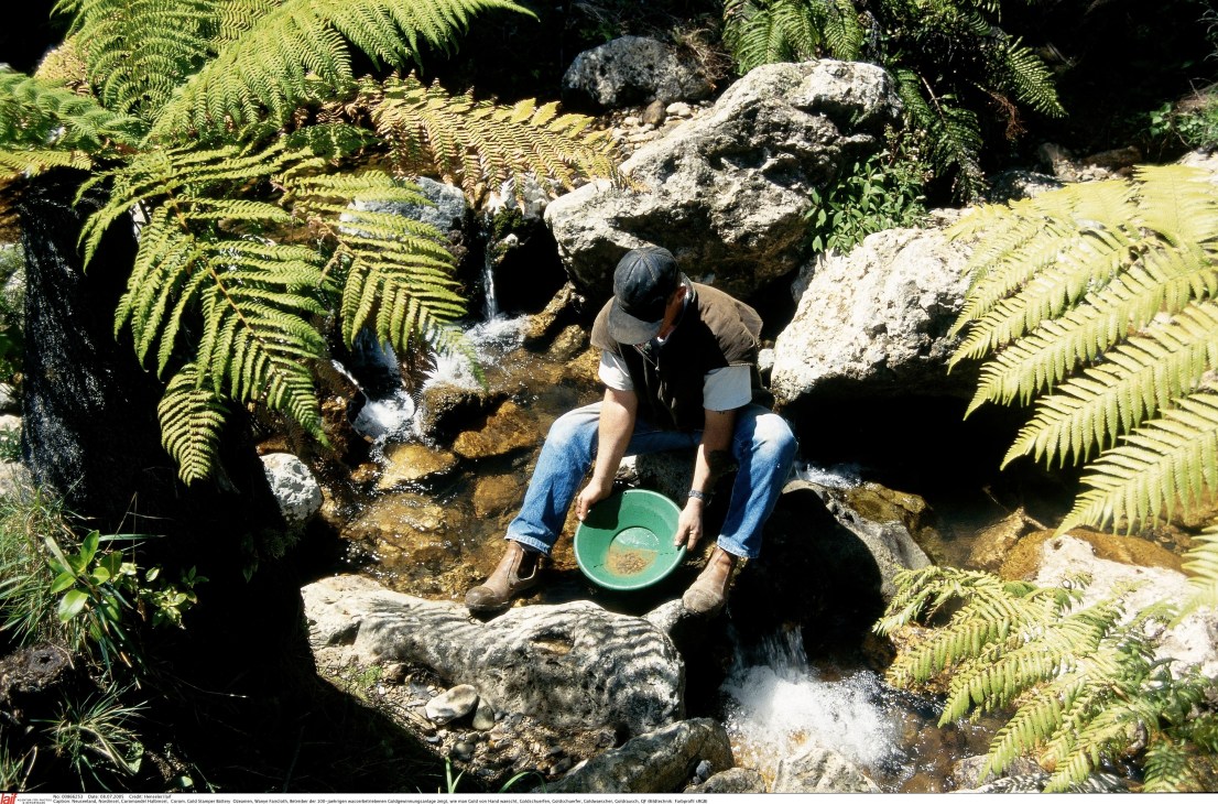 A person pans for gold in a forest stream surrounded by ferns and rocks.