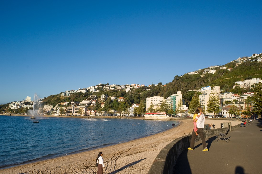Wellington's main city beach with sandy shore, swimmers, beachgoers, and hillside residential buildings under clear blue sky.