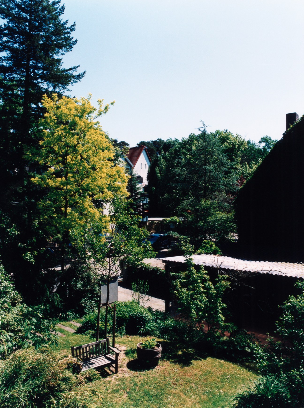 A leafy residential garden with a wooden bench, flowering trees, and a white house with red roof visible beyond hedges.